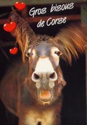 cheval